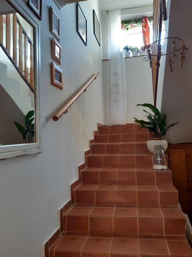 Nora Apartman Gyula Bagian luar foto