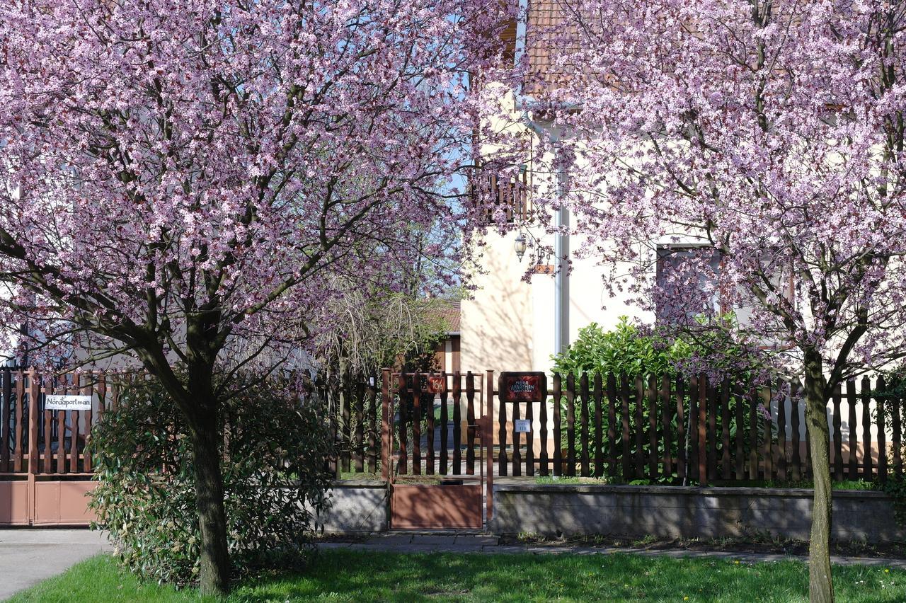 Nora Apartman Gyula Bagian luar foto
